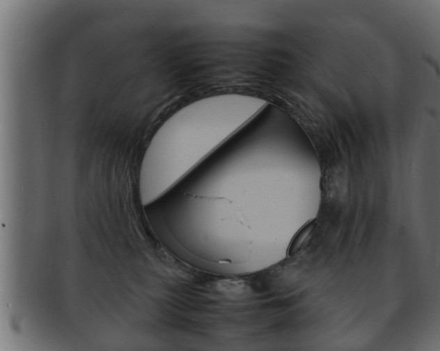 X0000092330279200709141123