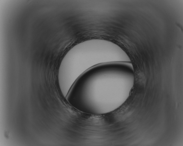 X0000092330280200709141123