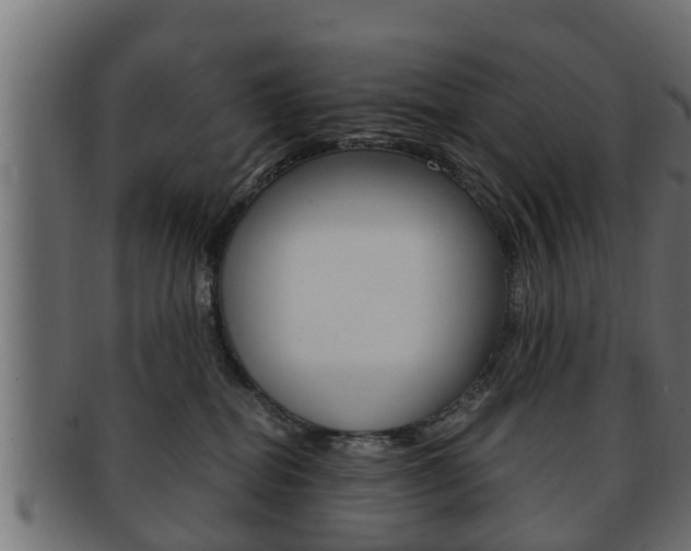 X0000092330282200709141123