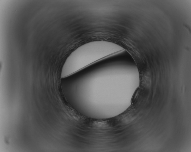 X0000092330283200709141124