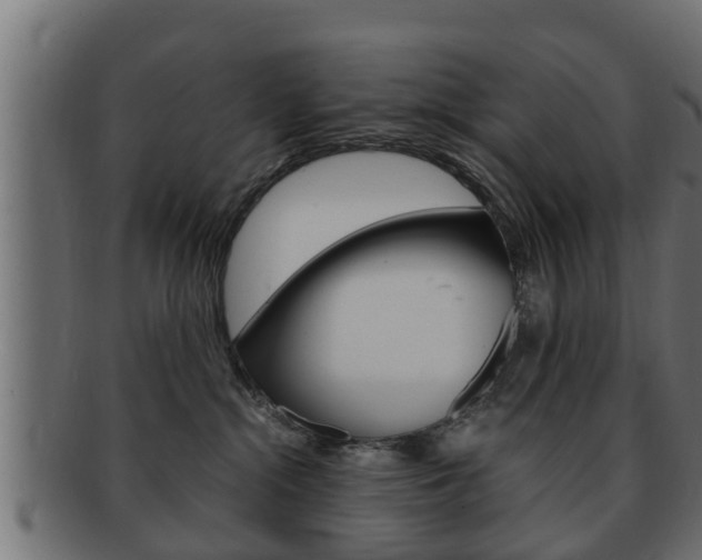 X0000092330284200709141124