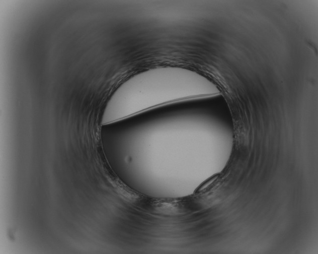 X0000092330285200709141124