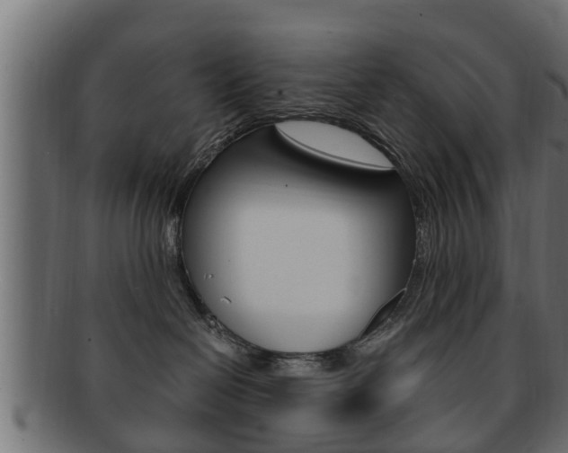 X0000092330286200709141124