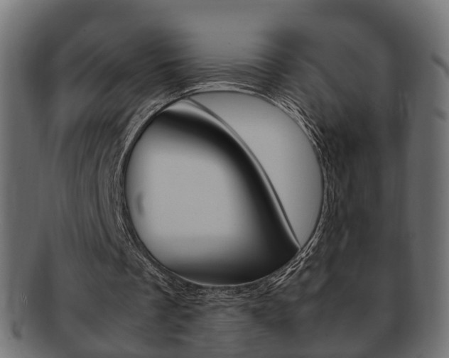 X0000092330289200709141123