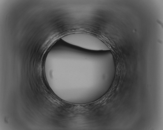 X0000092330290200709141123