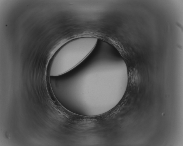X0000092330292200709141123