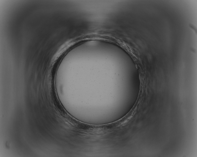 X0000092330295200709141123