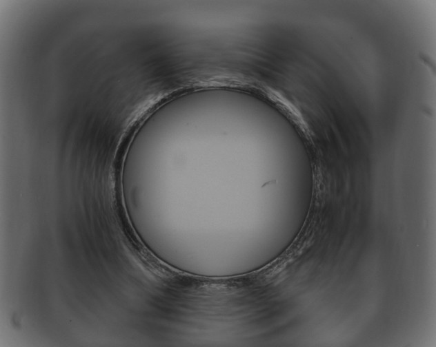 X0000092330298200709141123