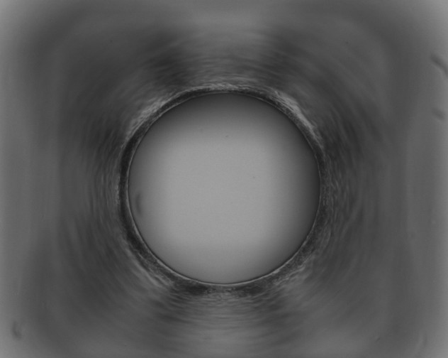 X0000092330299200709141123