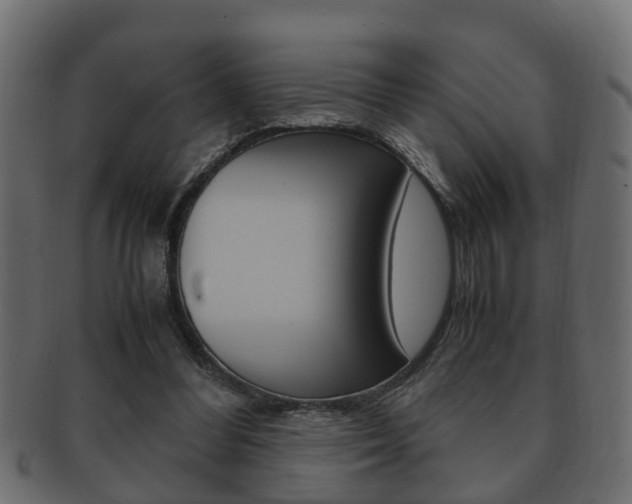 X0000092330300200709141123