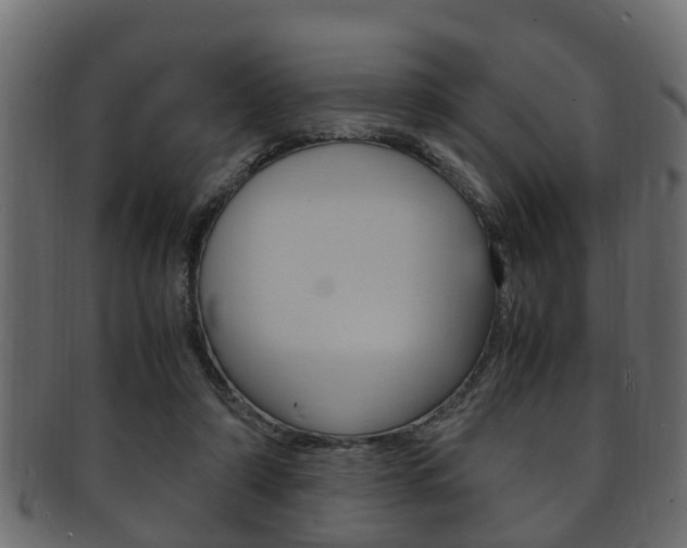 X0000092330306200709141123