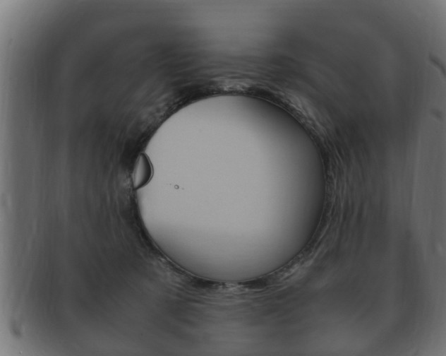X0000092330321200709141122