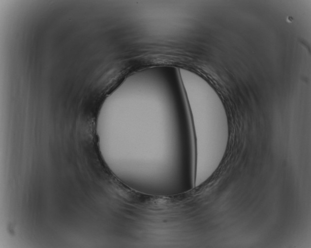X0000092330325200709141122