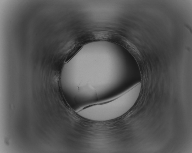 X0000092330329200709141122