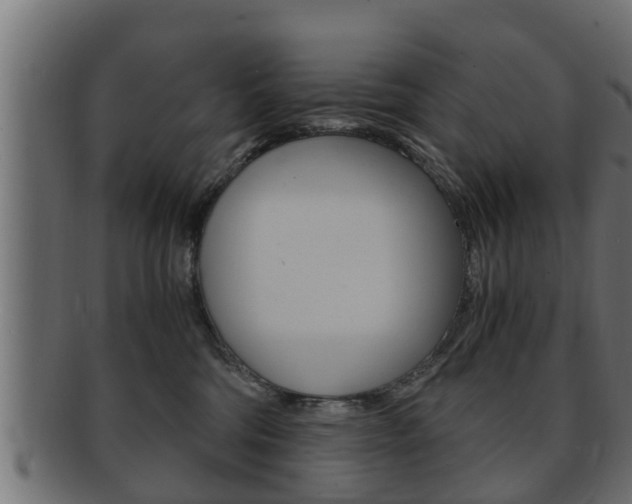 X0000092330330200709141122
