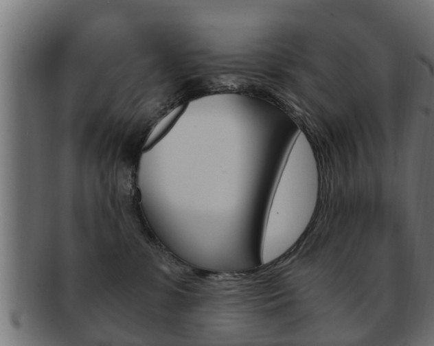 X0000092330331200709141122