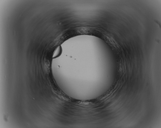 X0000092330332200709141122