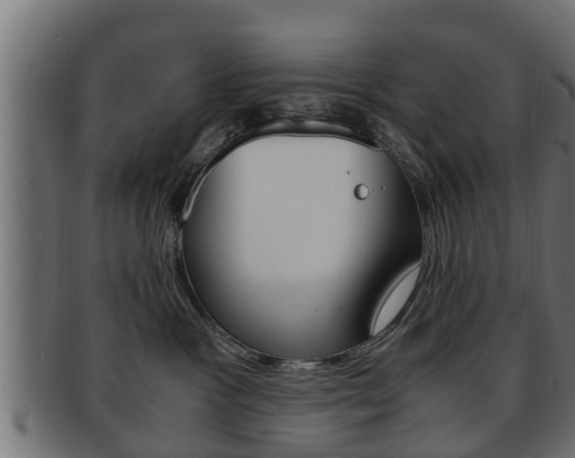 X0000092330333200709141122