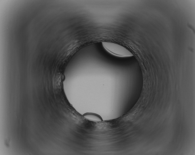 X0000092330336200709141122
