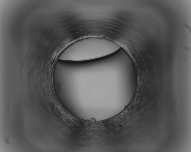 X0000092330337200709141122