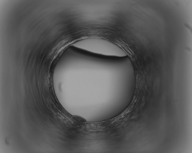 X0000092330338200709141122