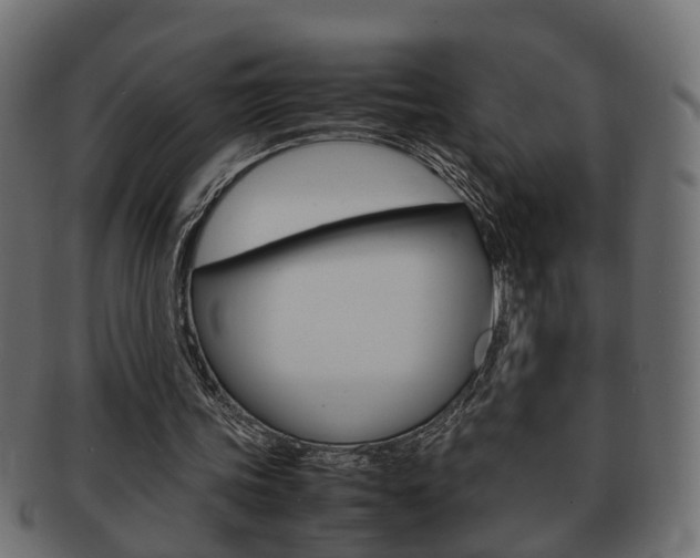 X0000092330339200709141122