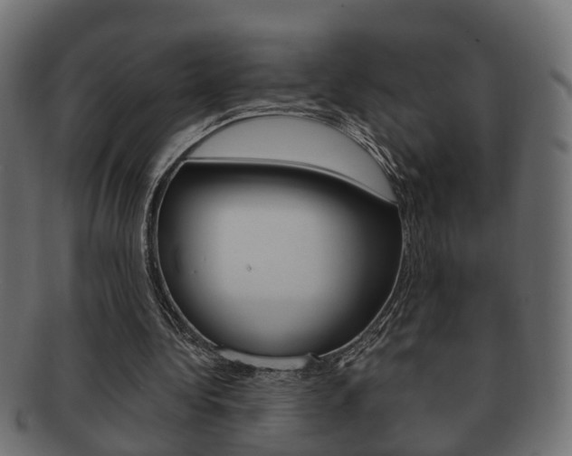 X0000092330340200709141122