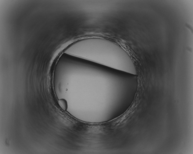 X0000092330342200709141122