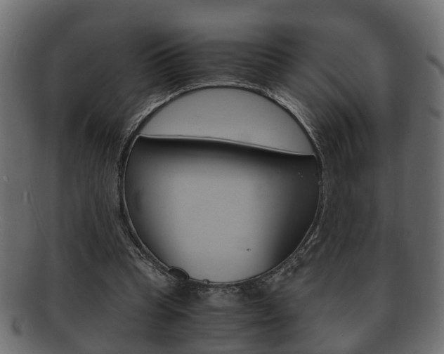 X0000092330345200709141122