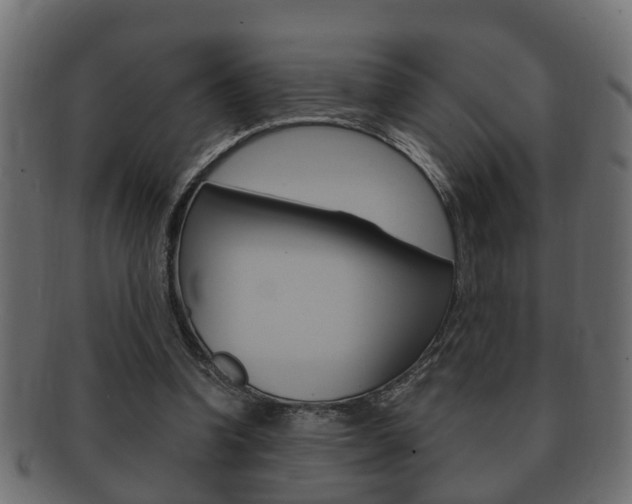 X0000092330346200709141122