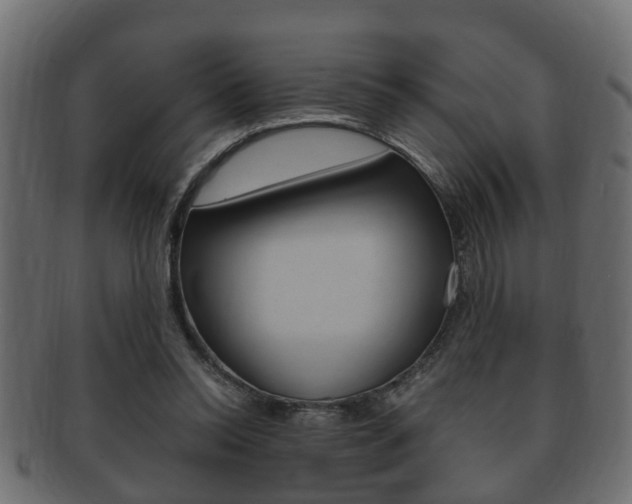 X0000092330350200709141122