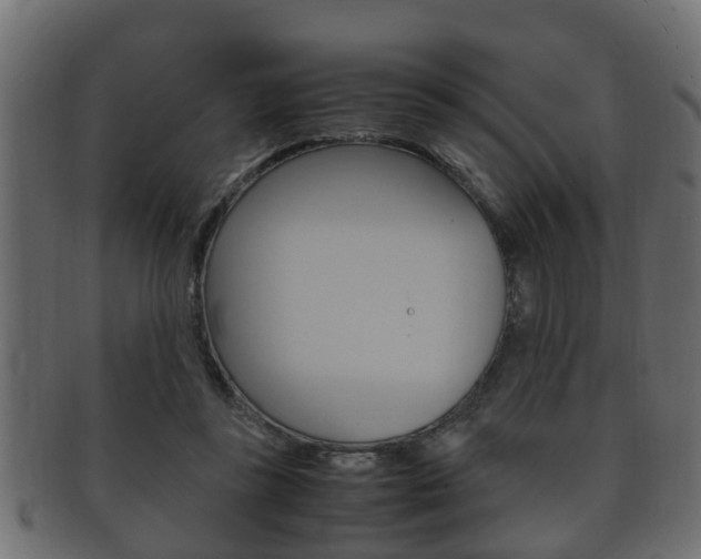 X0000092330355200709141122