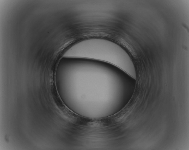 X0000092330356200709141122