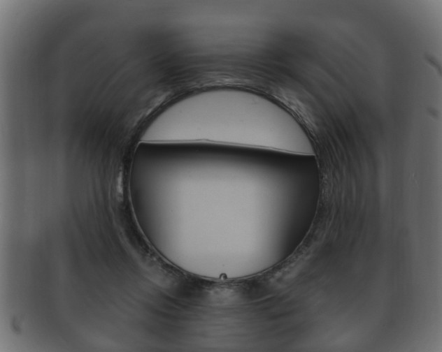 X0000092330358200709141122