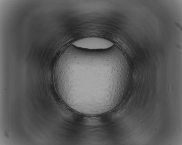 X0000092330359200709141122