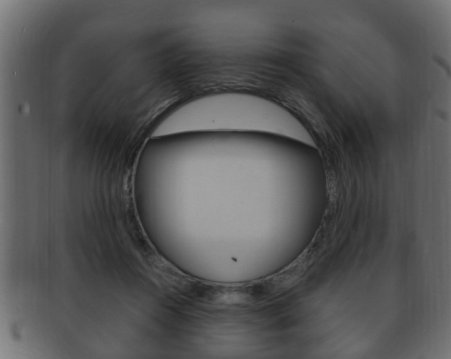 X0000092330360200709141122