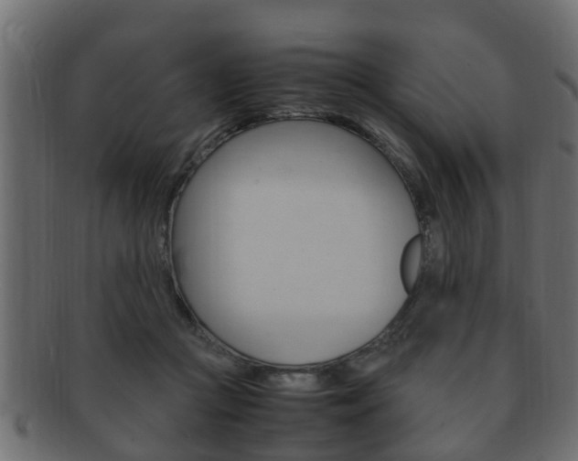 X0000092330361200709141122