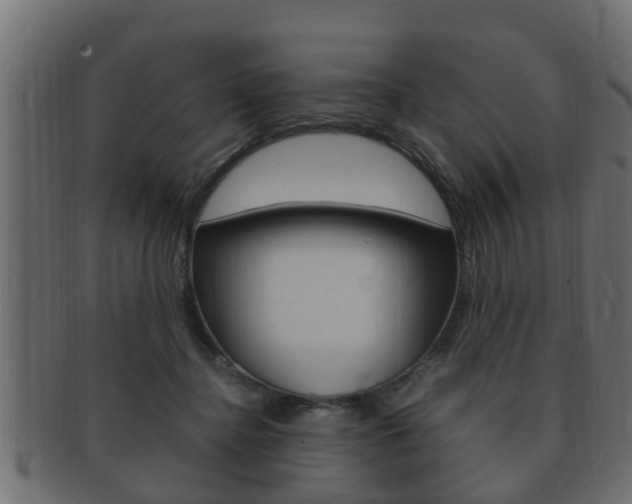 X0000092330364200709141122