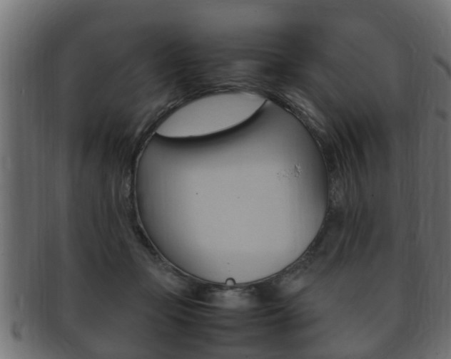 X0000092330365200709141122