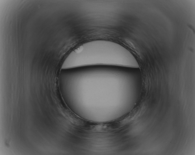 X0000092330366200709141122
