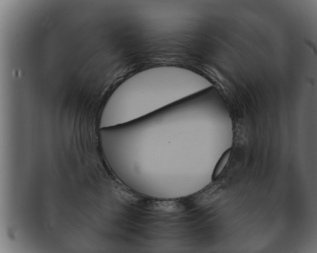 X0000092330377200709141122