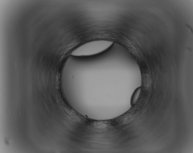 X0000092330378200709141122
