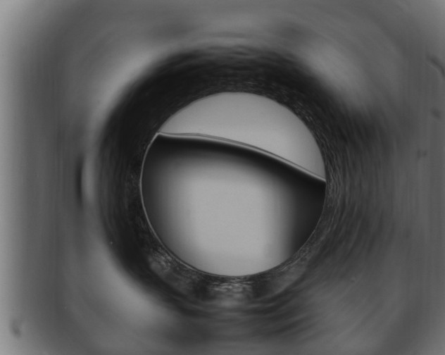 X0000092330383200709141122