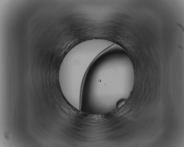 X0000092330384200709141122