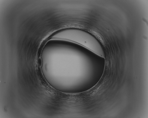 X0000092330388200709141122