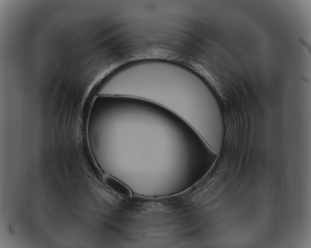 X0000092330392200709141122