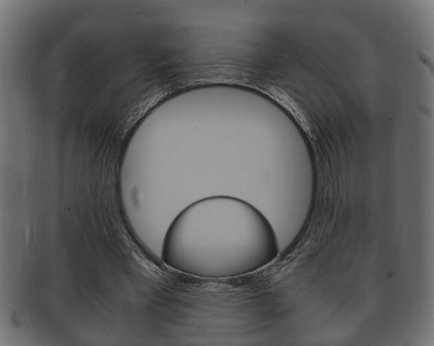 X0000092330393200709141122