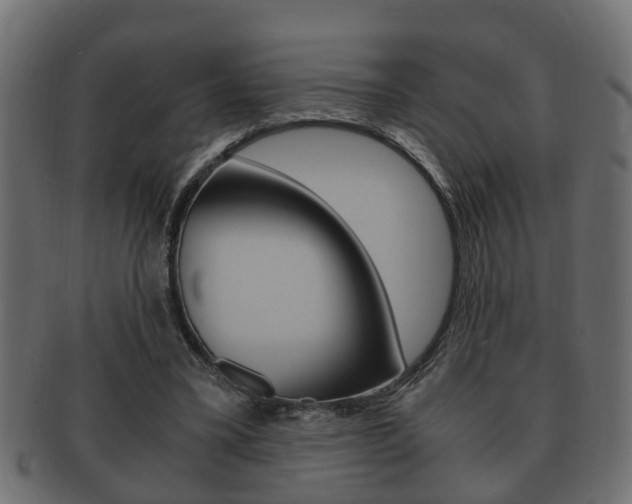 X0000092330395200709141122