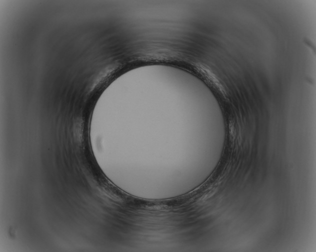 X0000092330396200709141122