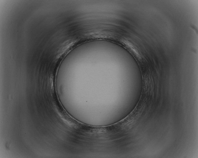X0000092330398200709141122